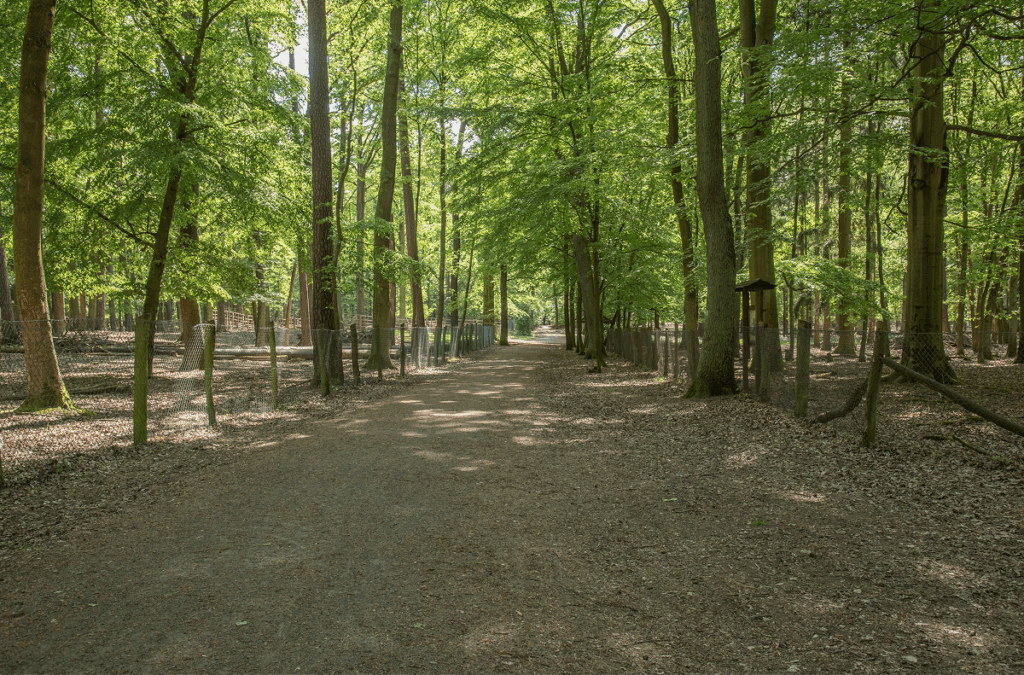 Tegeler-Forst Ausflugsziele in Reinickendorf

