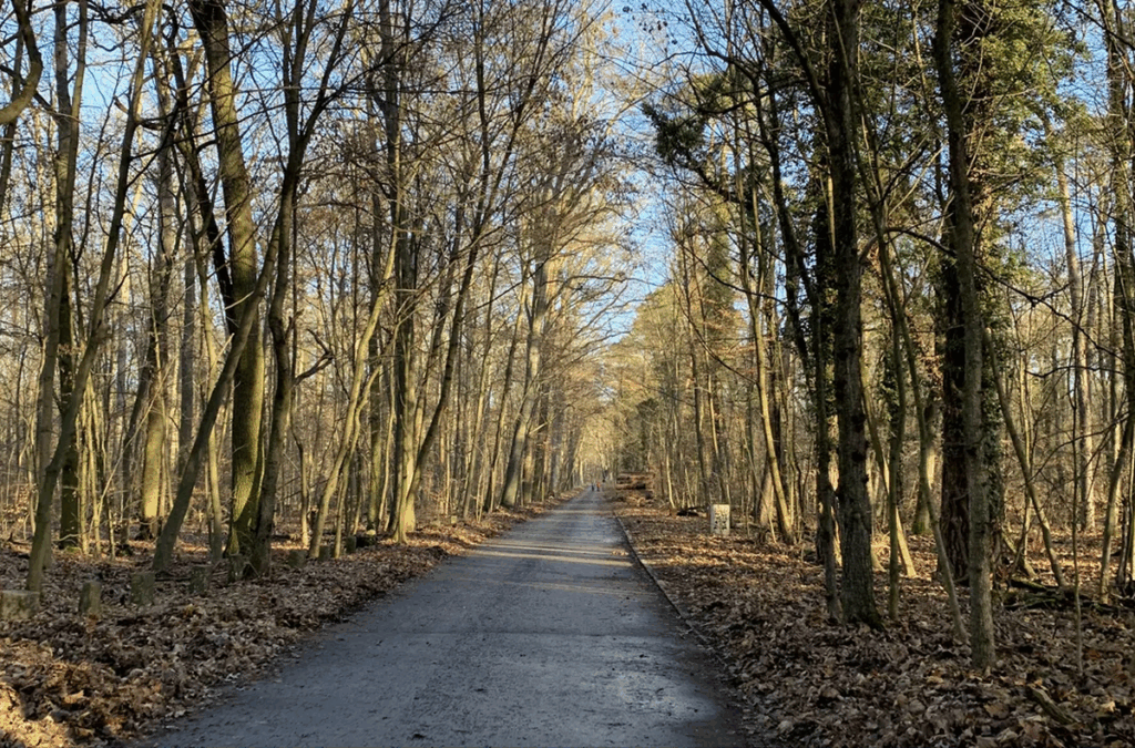 Tegeler-Forst Tegel, Berlin